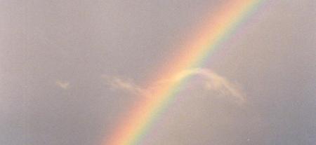 rainbow postirony